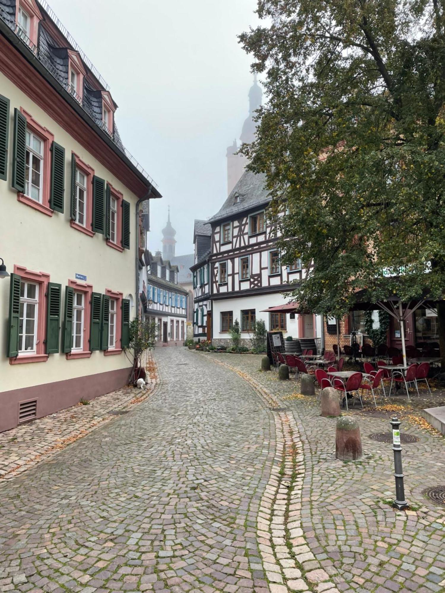 Alta Villa - Ferienwohnung Eltville am Rhein Екстериор снимка